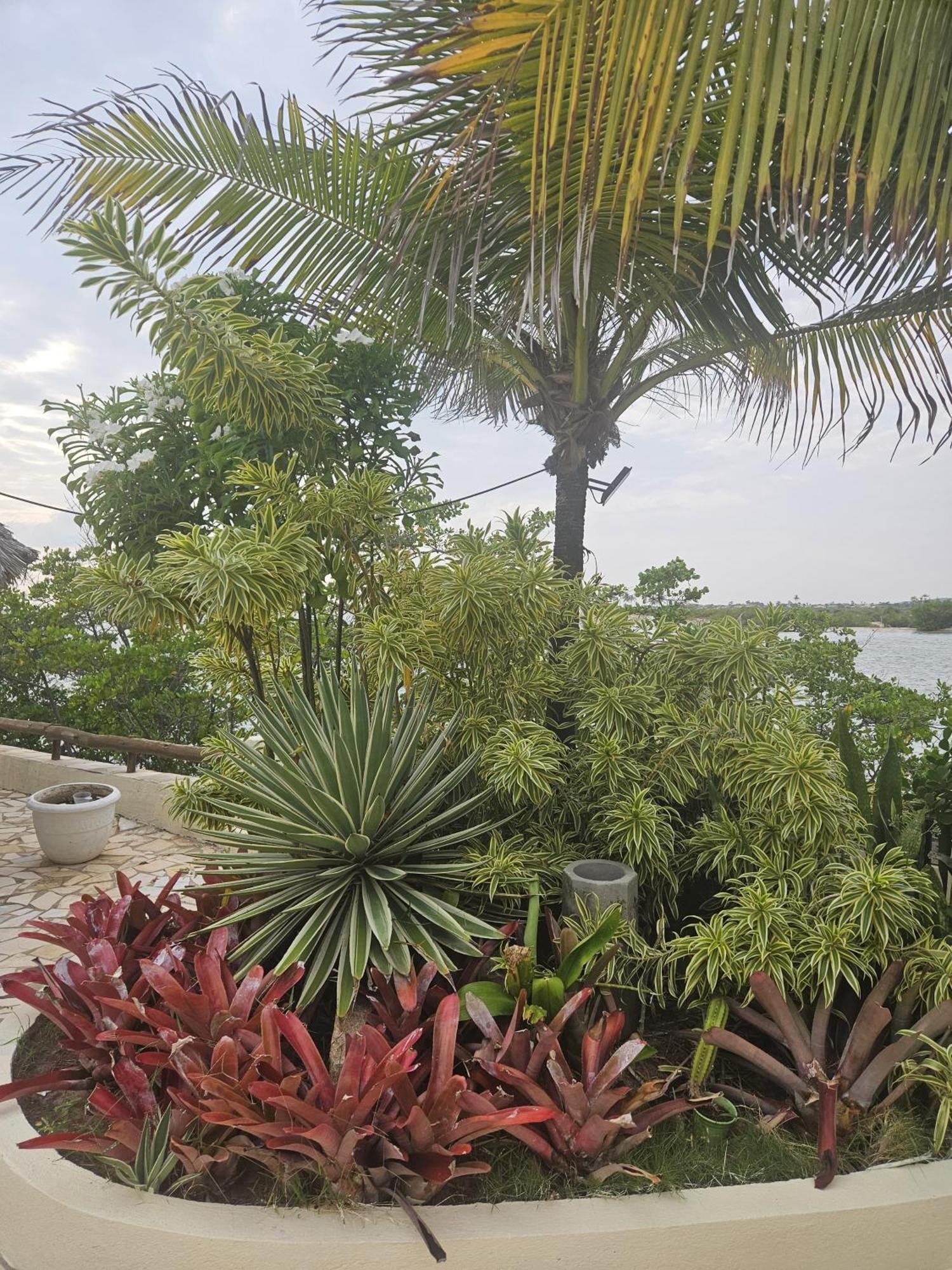 Malie Hotel Aguas Belas Exterior photo
